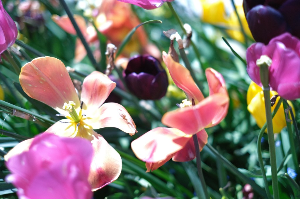 Masaru received the Dean of Education Scholarship&nbsp;(2023/24)